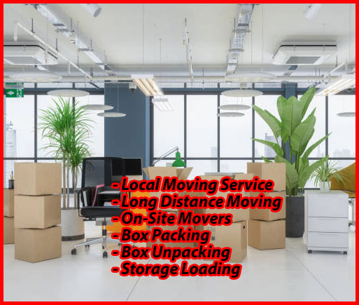 Packers And Movers Noida Sector 142